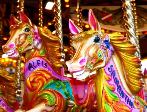 Carousel Hire